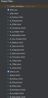 File organization structure