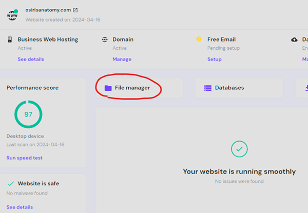 Hostinger hosting panel