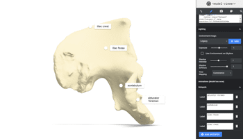 ModelViewer.dev interface